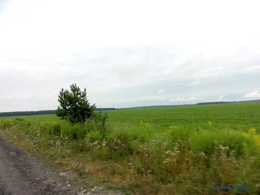 Дубенский район