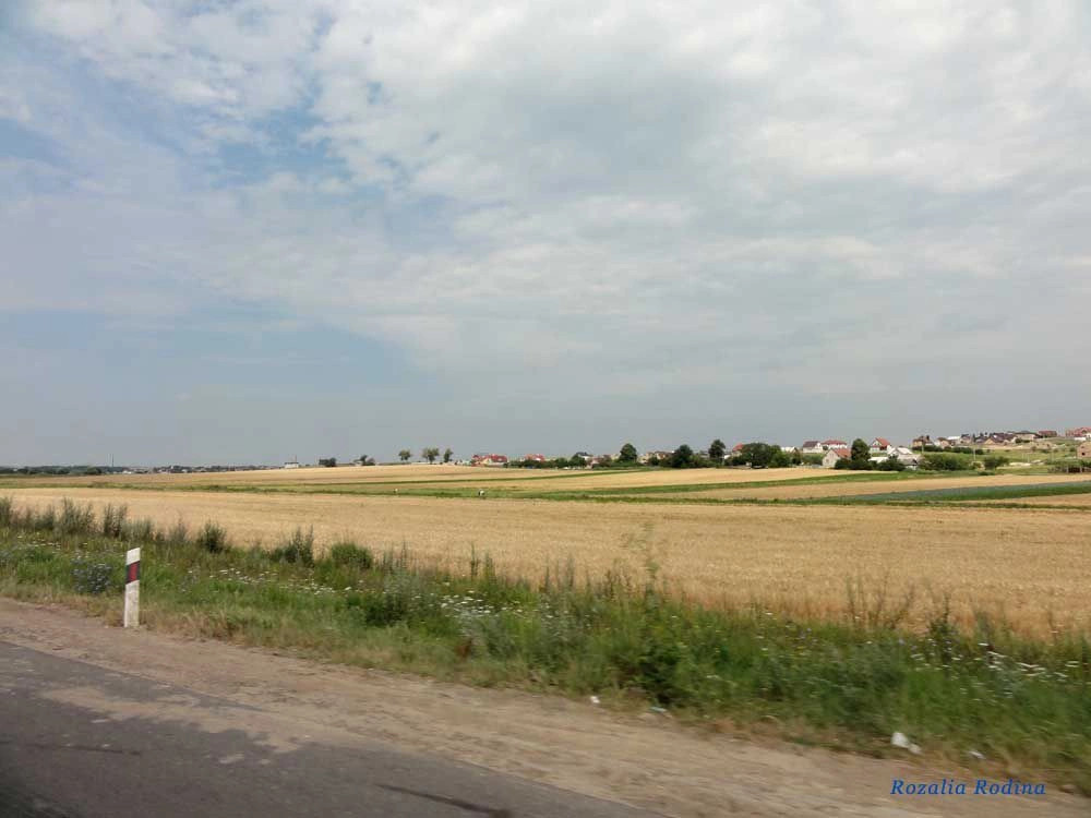 Ровненский район