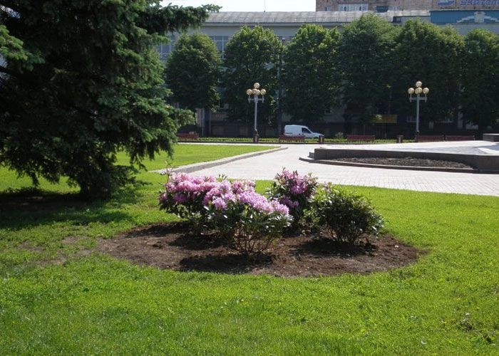 Ровно