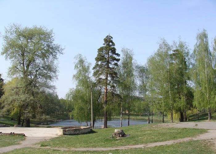 Сумы