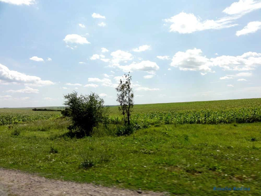 Бучачский район