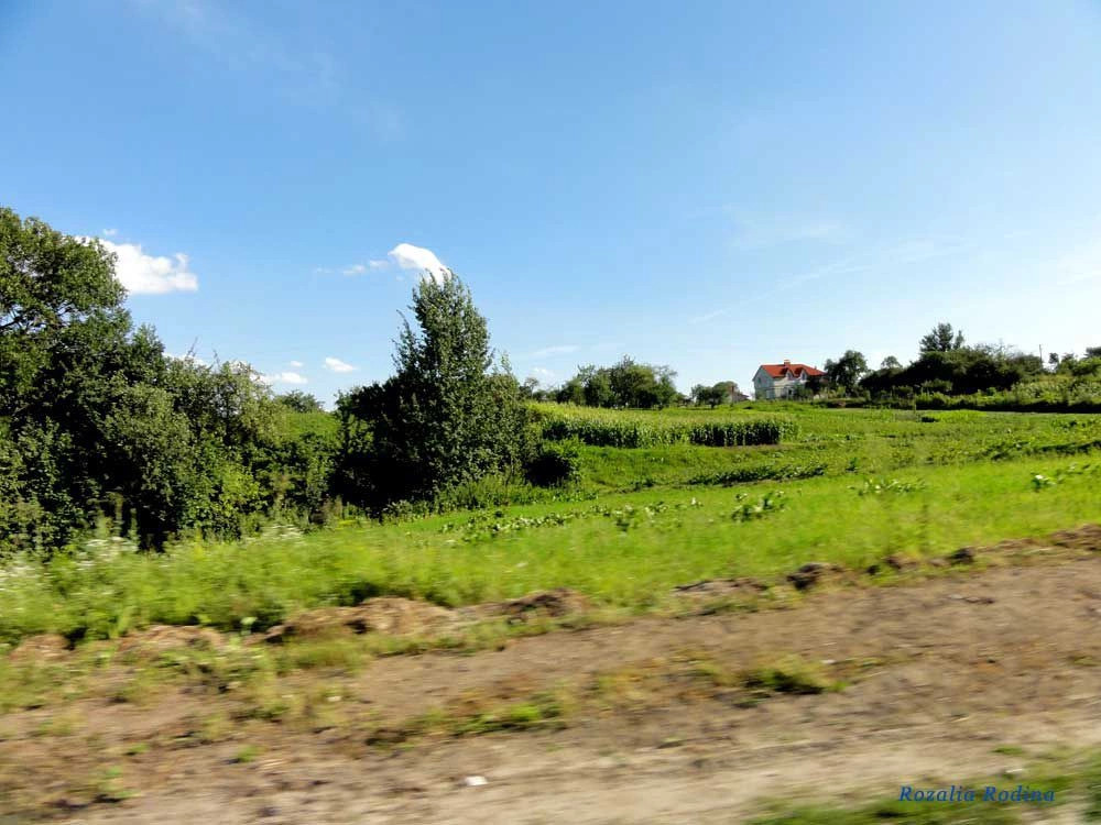 Збаражский район