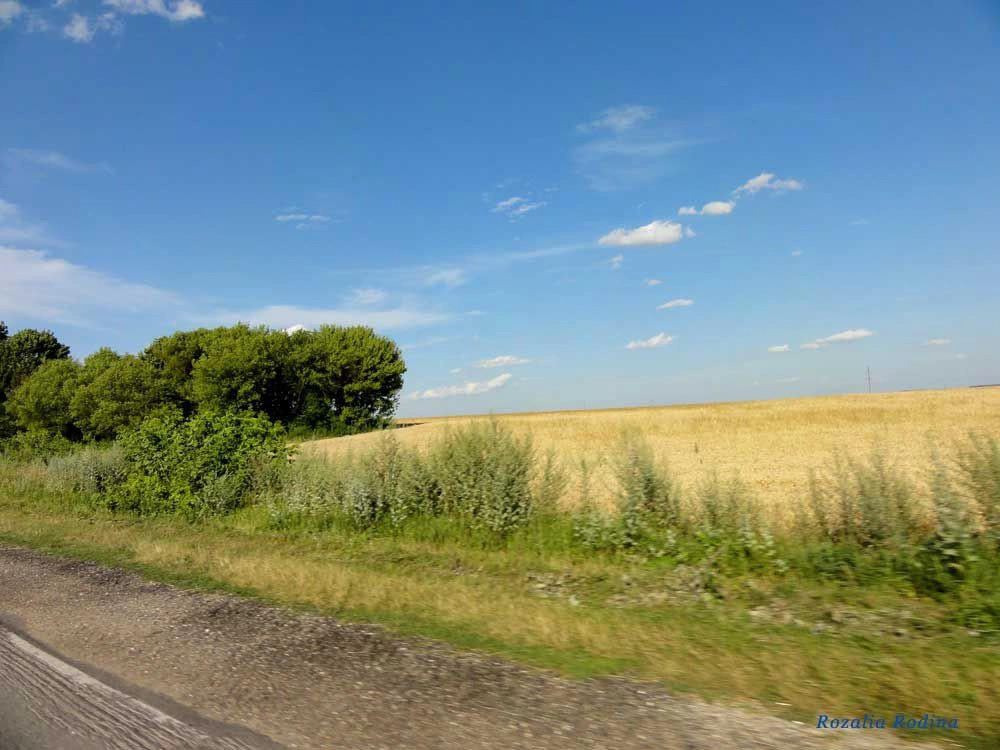 Збаражский район