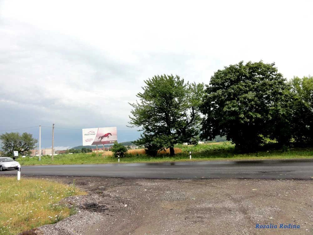 Кременецкий район