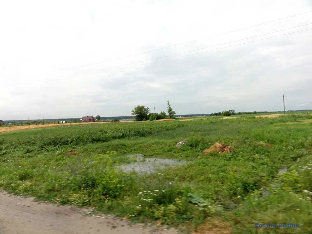 Кременецкий район