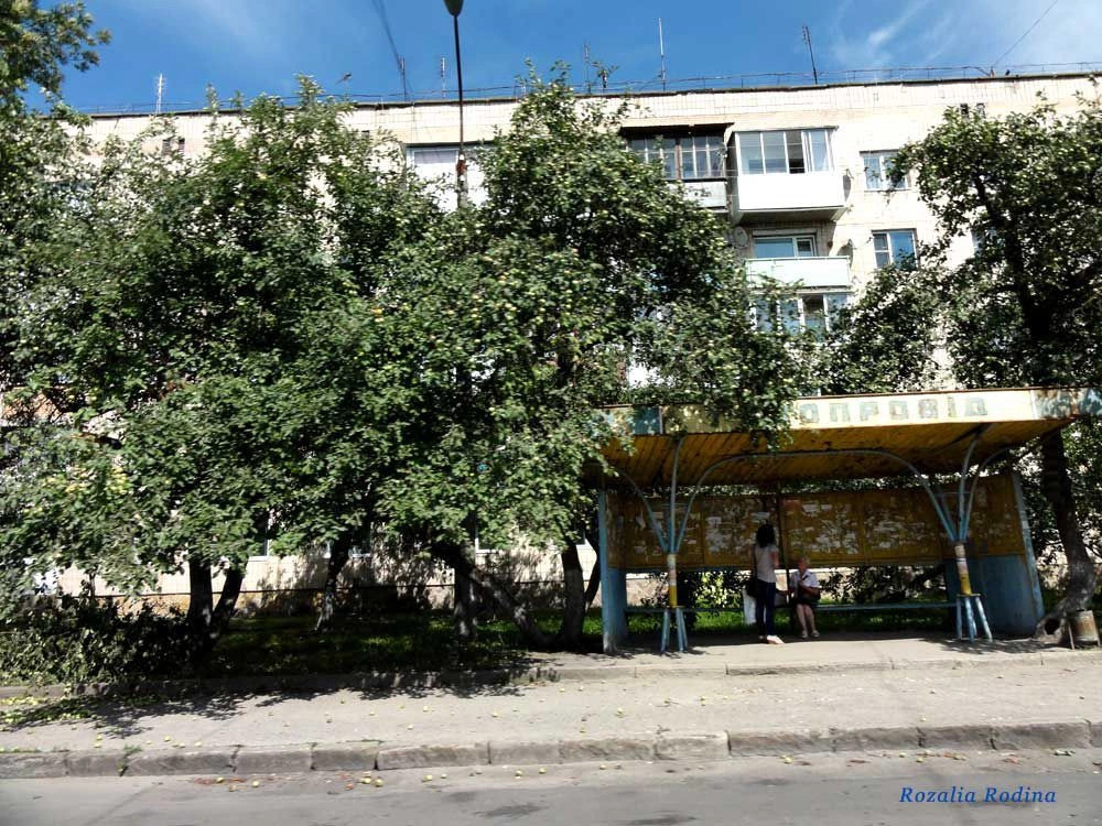 Тернополь