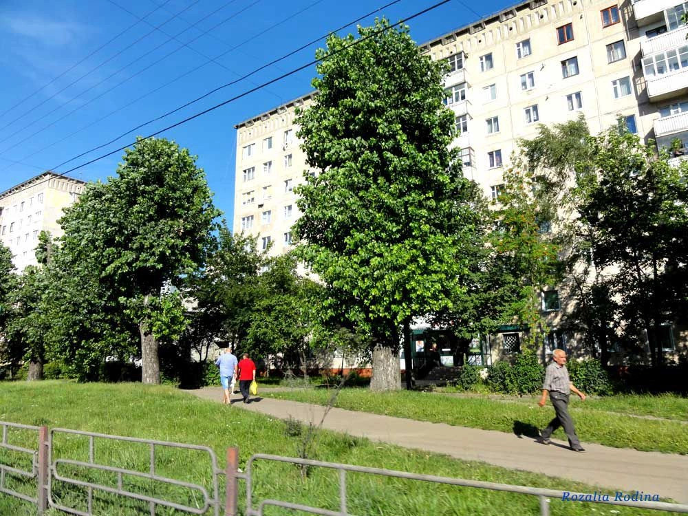 Тернополь