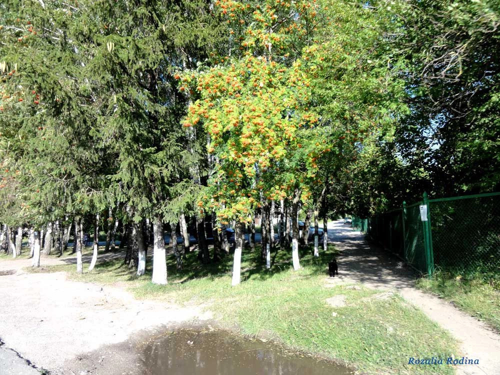 Збараж