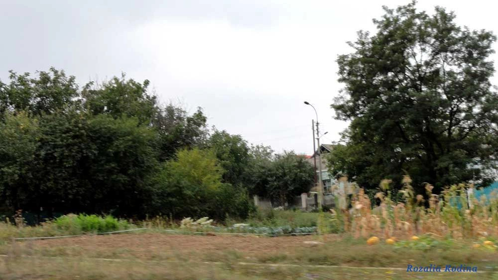 Уманский район