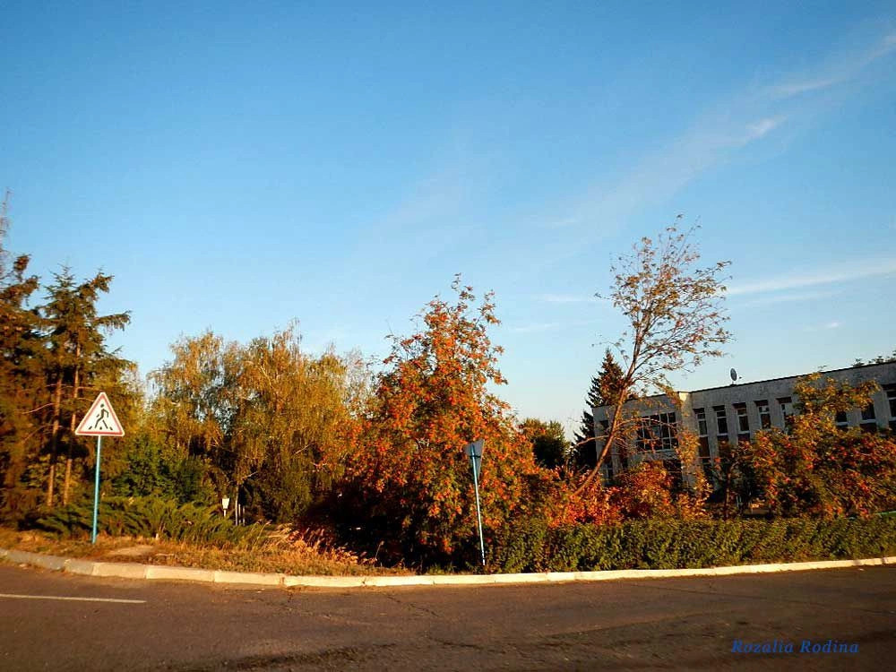 Умань