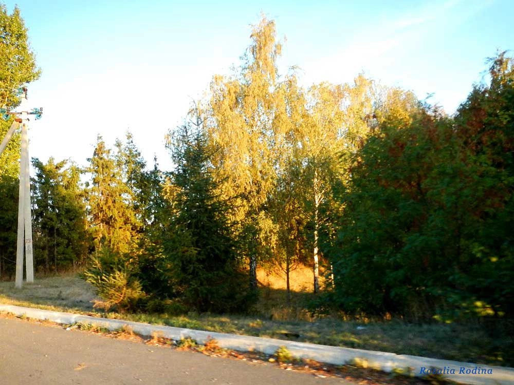 Умань