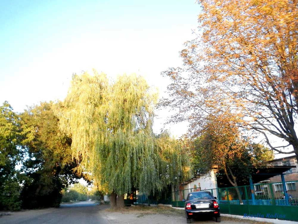 Умань