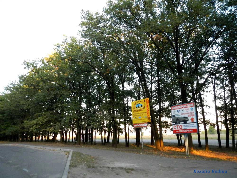 Умань