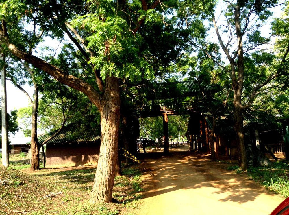 Национальный парк Удавалаве