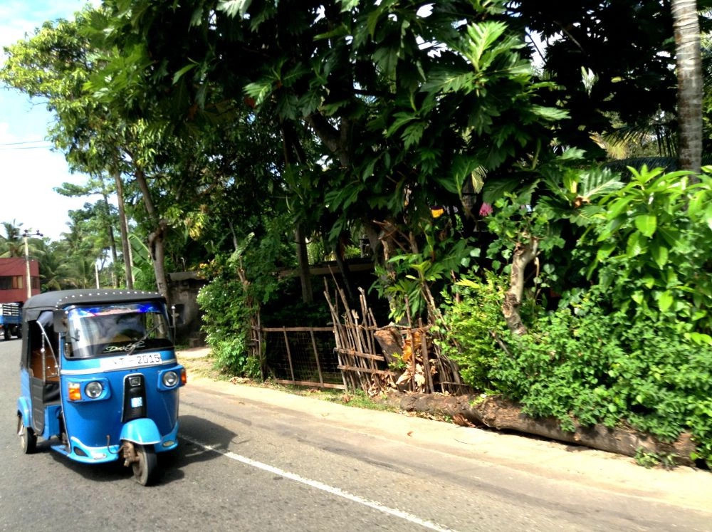 Мирисса