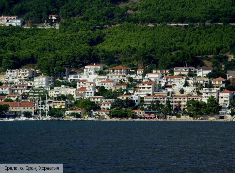 Брела