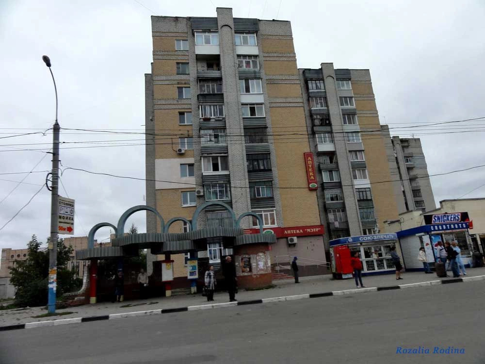 Брянск городской округ