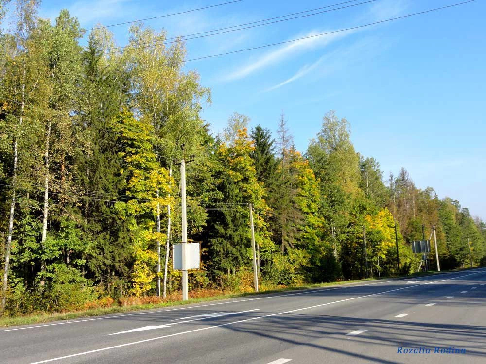 Брянск городской округ