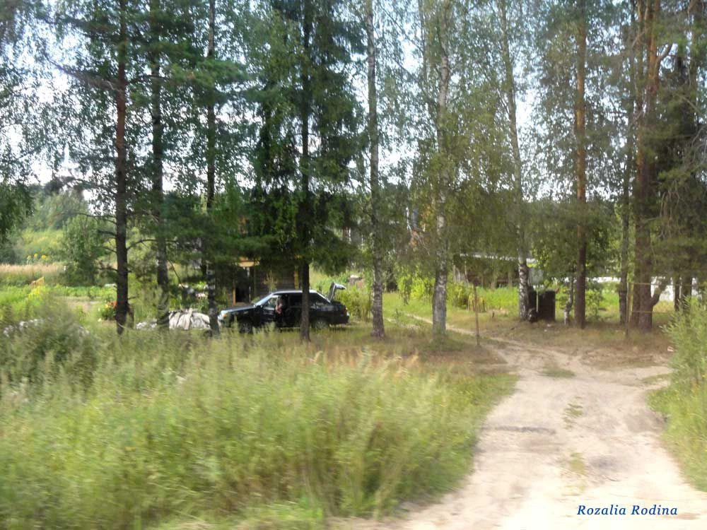 Городецкий район
