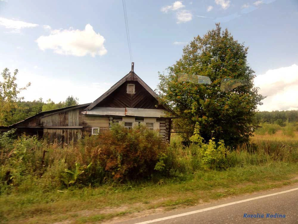Городецкий район