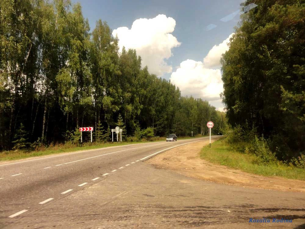 Городецкий район