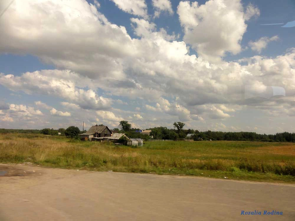 Городецкий район