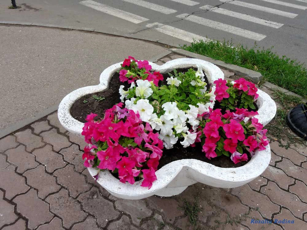 Чистополь город