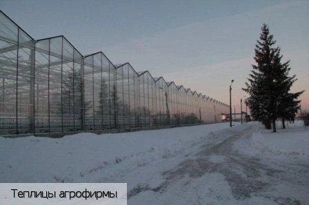 Новочебоксарск городской округ