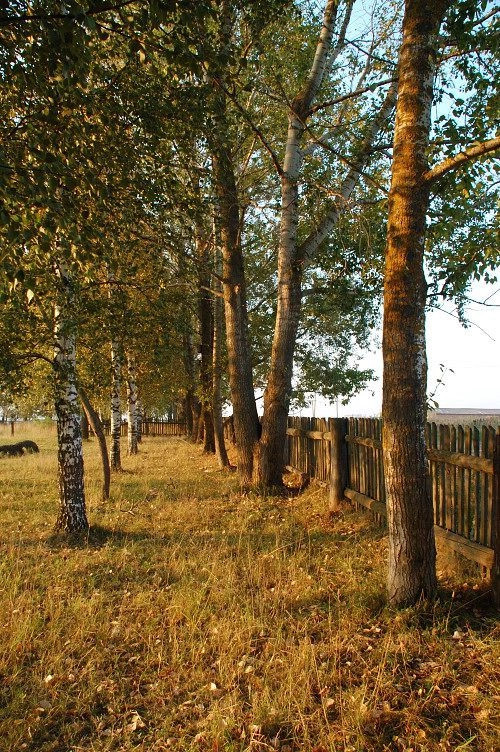 Старые Айбеси