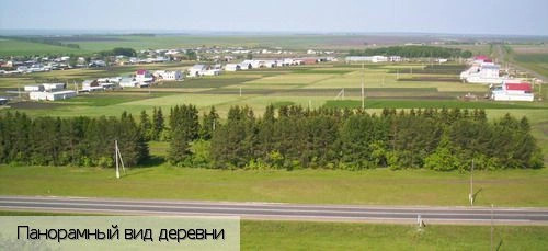 Долгий Остров деревня