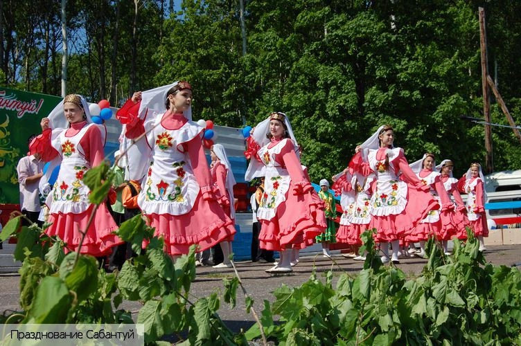 Батыревский район
