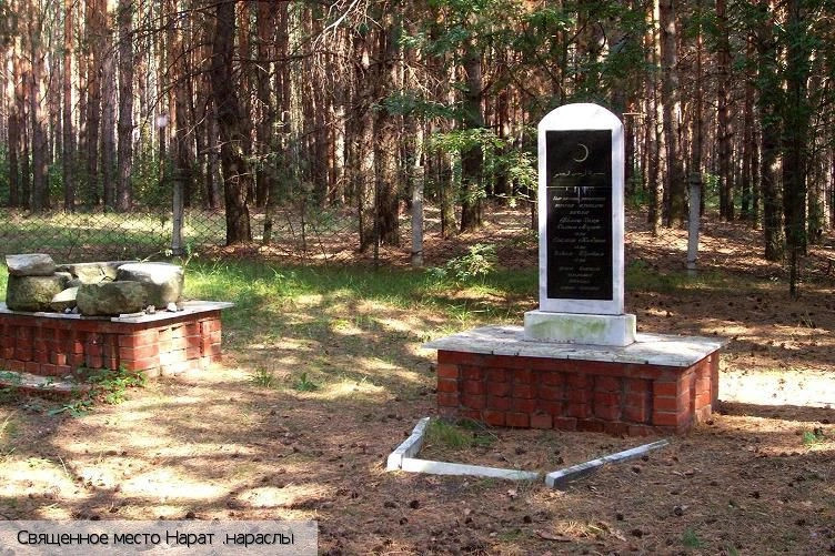 Полевые Бикшики
