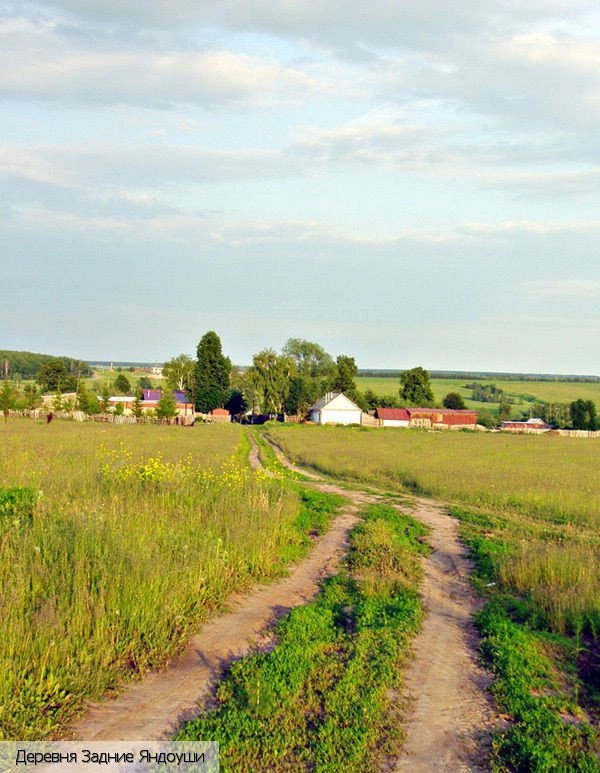 Канашский район