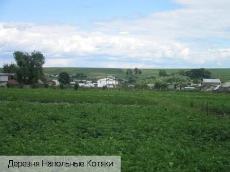 Канашский район