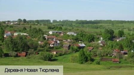 Козловский район