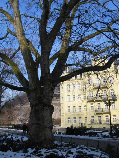 Карловы Вары