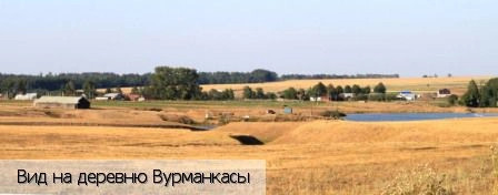 Мариинско-Посадский район