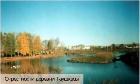Цивильский район