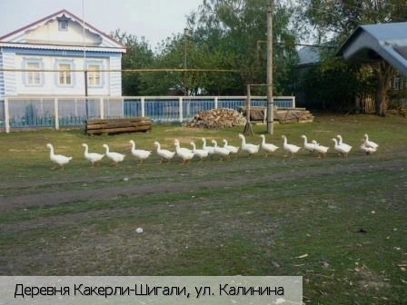 Какерли-Шигали деревня