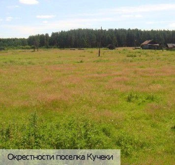 Кучеки поселок