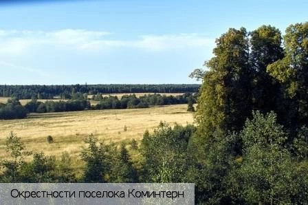 Коминтерн поселок (Шумерлинский р-н)