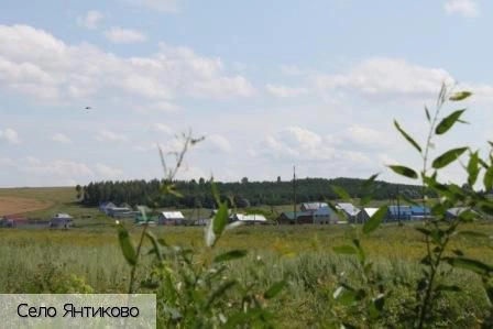 Янтиково село (Янтиковский р-н)