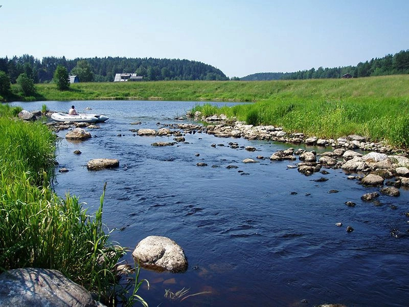Микли