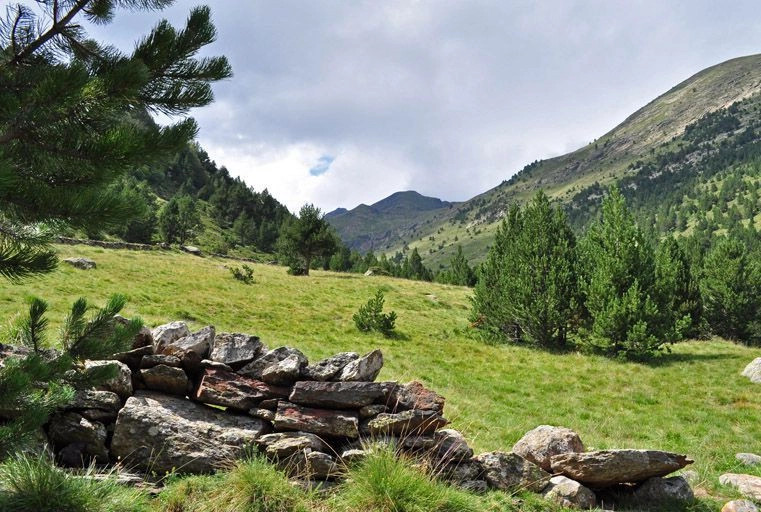 Паррокия Канильо