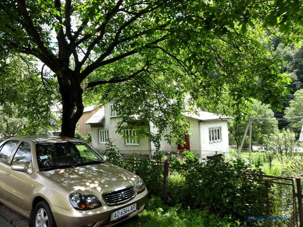 Квасы