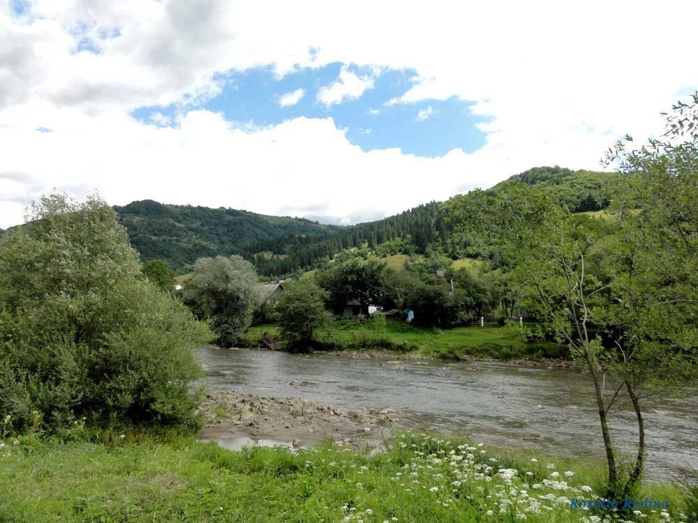 Квасы