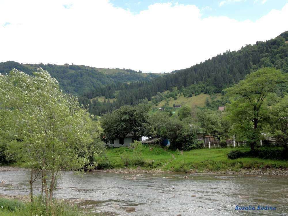 Квасы