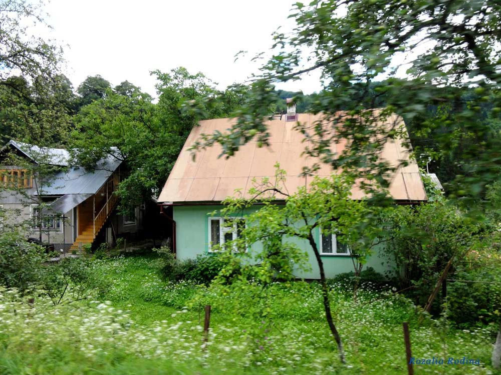 Квасы