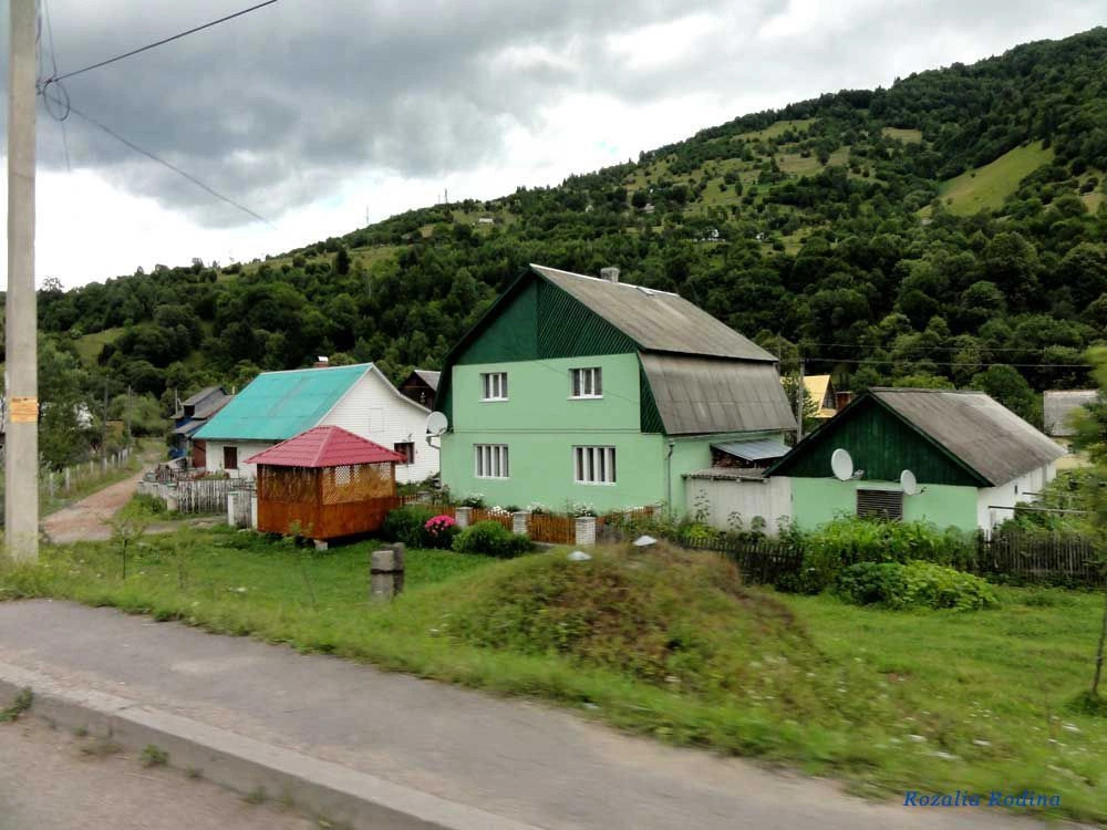Квасы
