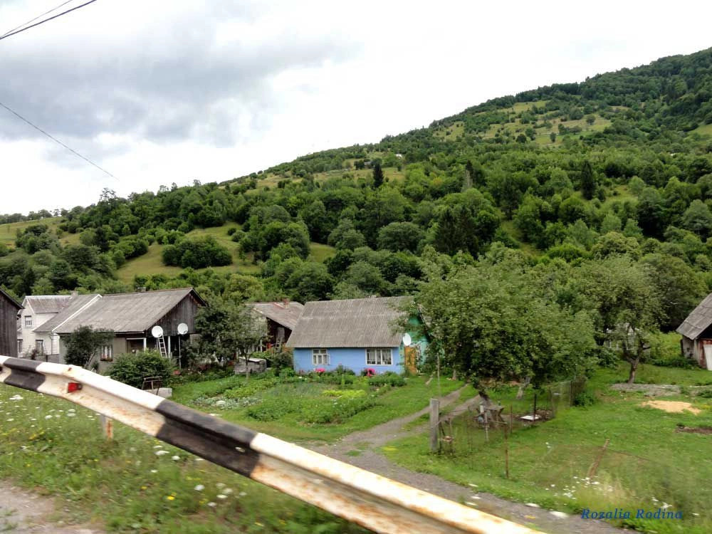 Квасы